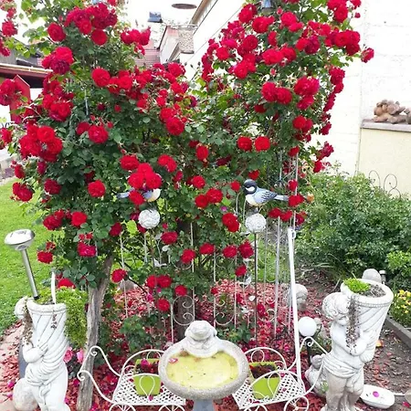 Auszeit 1 Mit Terasse Und Gratis Parkplatz Apartament Leoben (Styria)