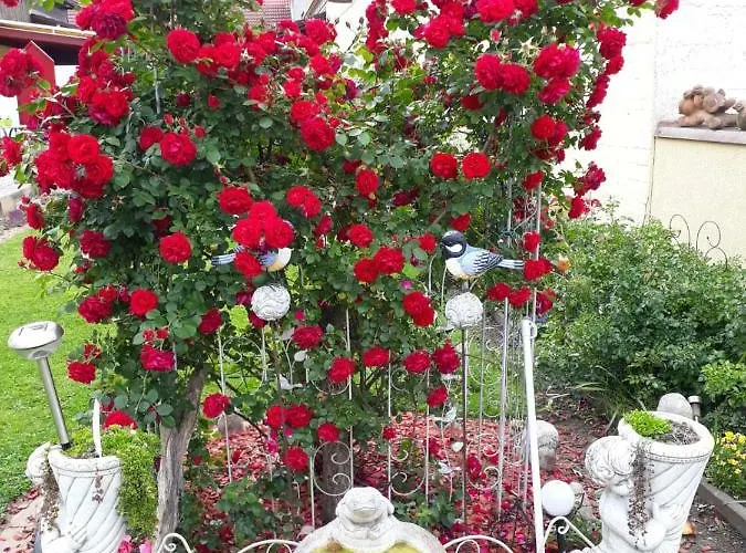 Auszeit 1 Mit Terasse Und Gratis Parkplatz Apartament Leoben (Styria)